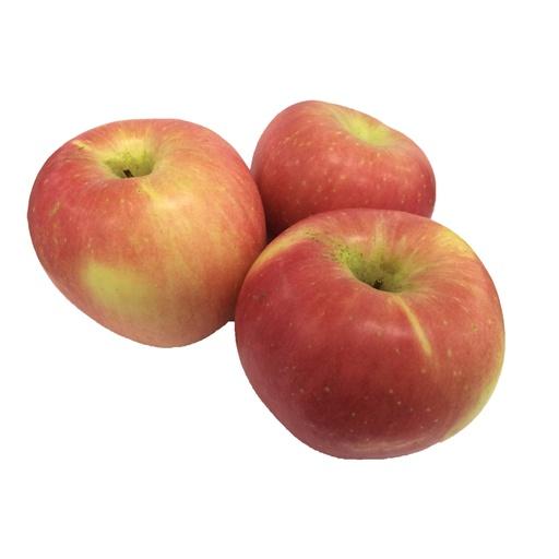 APEL FUJI RRC /KG - Beli di Lotte Grosir