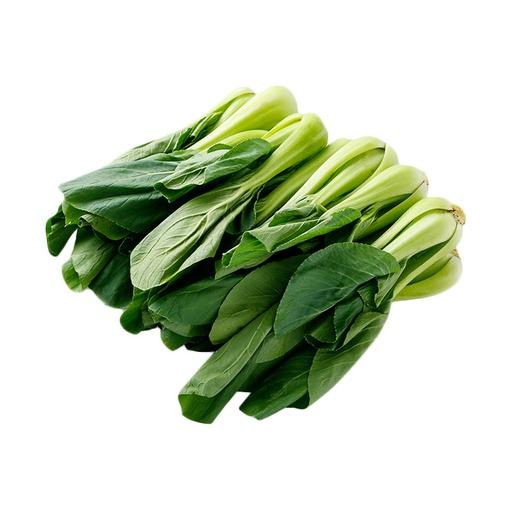 BABY PAKCOY 500 g - Beli di Lotte Grosir