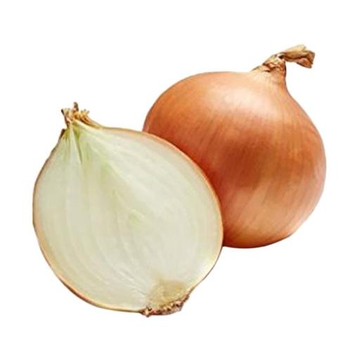 BAWANG BOMBAY +/- 1 KG - Beli di Lotte Grosir