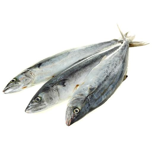 TENGGIRI /KG - Beli di Lotte Grosir