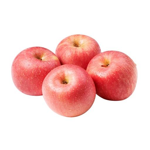 APEL FUJI BLUSH 24-32 - Beli di Lotte Grosir