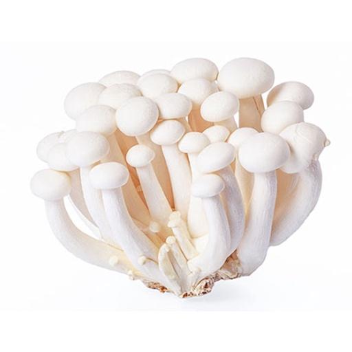 JAMUR HON SHEIMEJI WHITE - Beli di Lotte Grosir