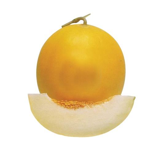 MELON  GOLDEN /KG - Beli di Lotte Grosir