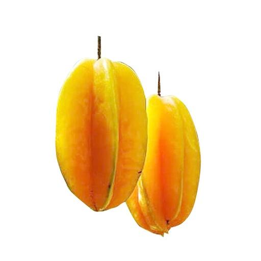 BELIMBING MADU /KG - Beli di Lotte Grosir