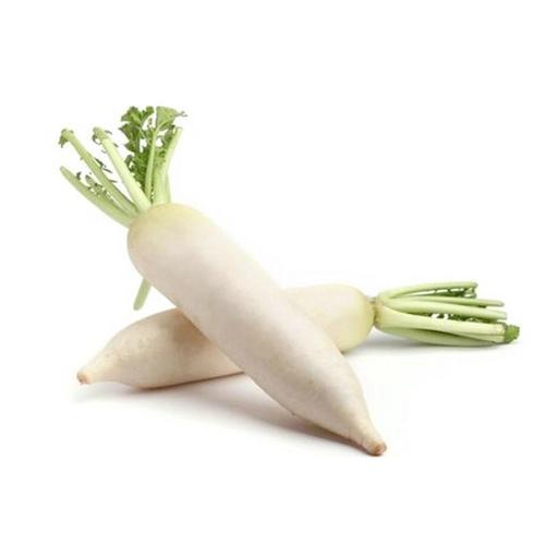 LOBAK DAIKON/KG - Beli di Lotte Grosir