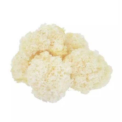 JAMUR SALJU 100 g - Beli di Lotte Grosir