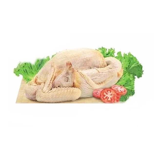 AYAM PEJANTAN 0.6-0.7 /EKOR - Beli di Lotte Grosir