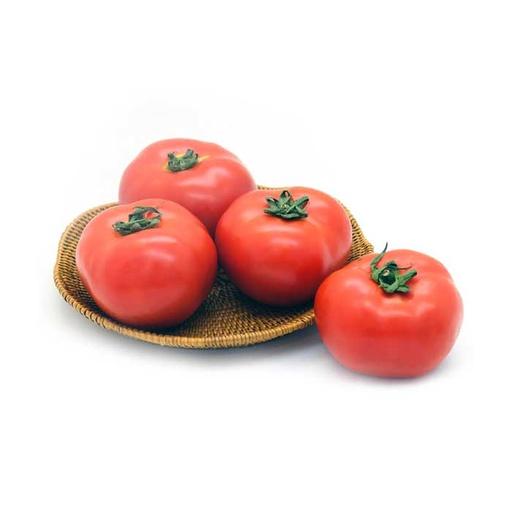 TOMAT BEEF/KG - Beli di Lotte Grosir
