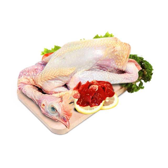 AYAM PEJANTAN 0.5-0.6 /EKOR - Beli di Lotte Grosir