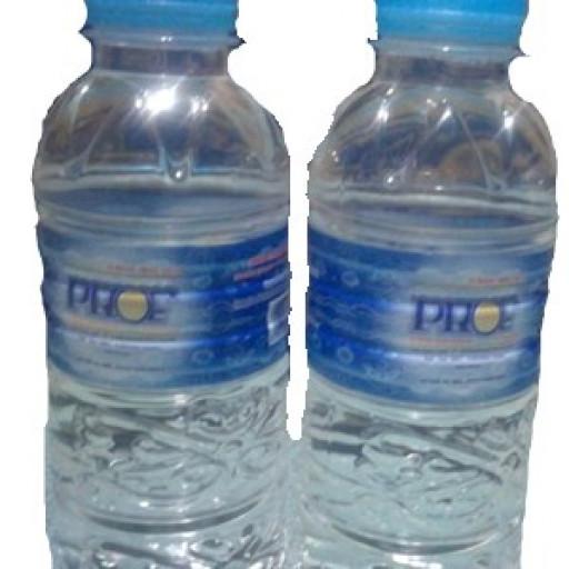 PROF AIR MINUM BOTOL 330ML – Lotte Grosir Banjarmasin | Lotte Grosir ...