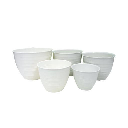 KEZIA POT BUNGA TAWON 24 - Beli di Lotte Grosir