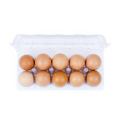 TELUR AYAM NEGERI OMEGA 9 - Beli di Lotte Grosir
